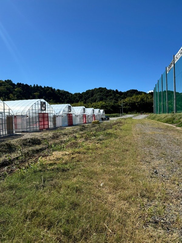 進入路工事の施工前